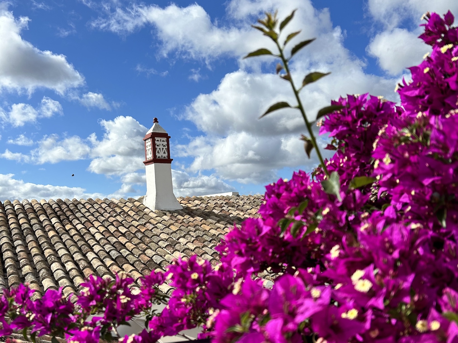 Casa d’Alte View with Bougainvilea